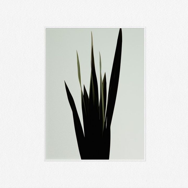 Wet — Weak (2015), cover